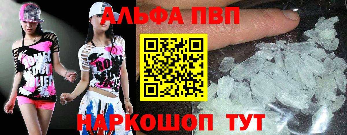 Альфа ПВП СК КРИС Новозыбков