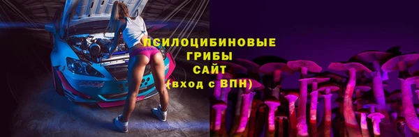 mdpv Великий Новгород