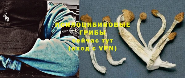 первитин Лабытнанги