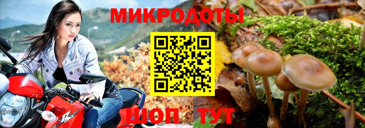 Новозыбков  Галлюциногенные грибы мицелий  Вход с VPN 