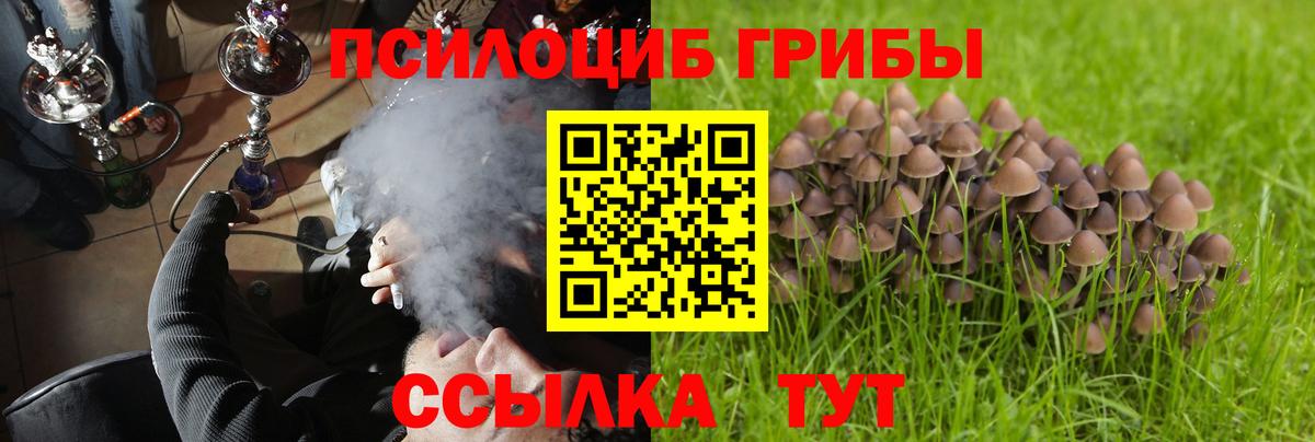 Галлюциногенные грибы ЛСД Новозыбков